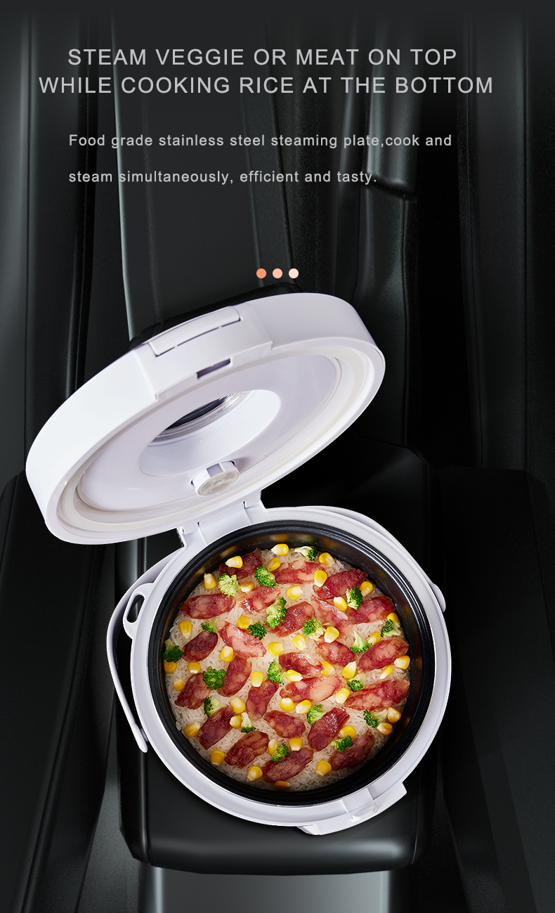 24V Rice Cooker  Truck Soup St - Camping Cooking Cylinder review and price