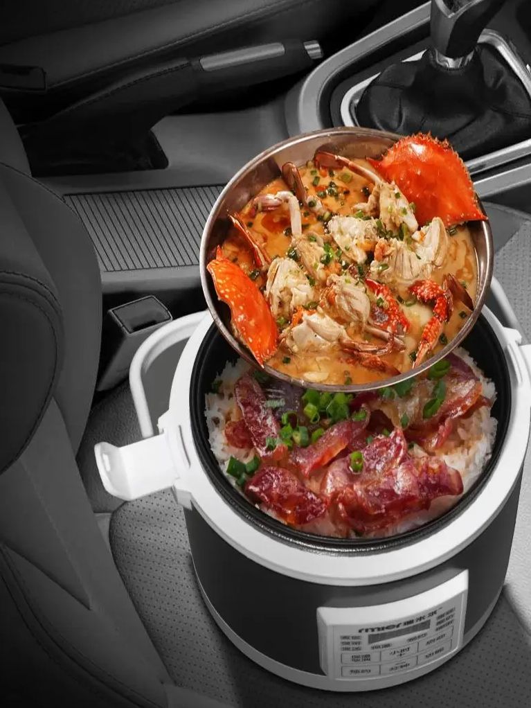 ARIER 12-24V 220V Rice Cooker  - Camping Cooking Cylinder review and price