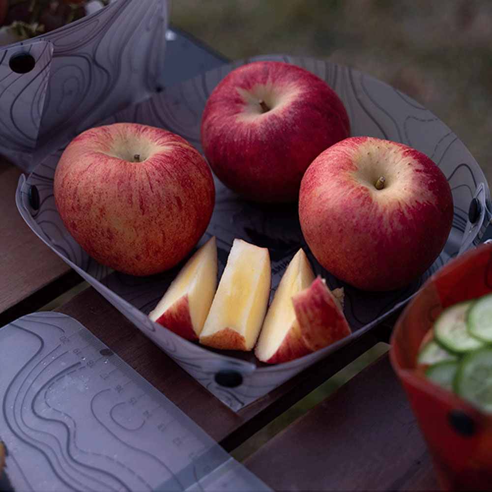 Outdoor Lightweight Folding Ta - Camping Cooking Hot Plate review and price